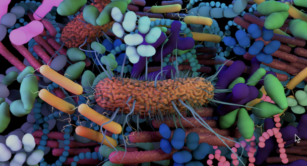 Human Microbiome: A New Science For Our Health